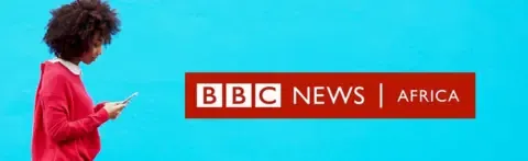 Assailants kill 22 following opening fire at christening gathering in Niger - sources say